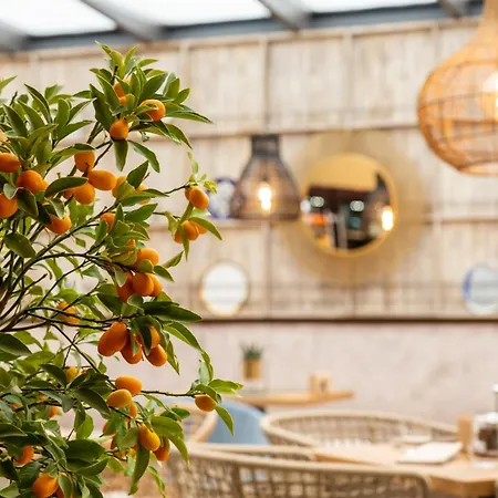 Promenade 5* بورغاس